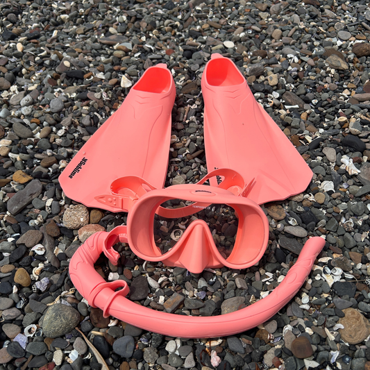 Coral Snorkel Set Package